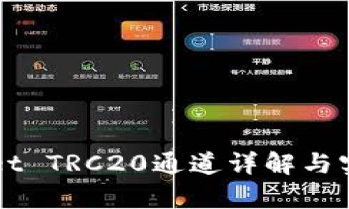 tpWallet TRC20通道详解与实际应用