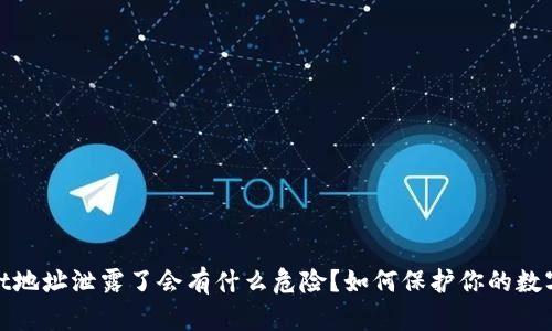 : tpWallet地址泄露了会有什么危险？如何保护你的数字资产安全