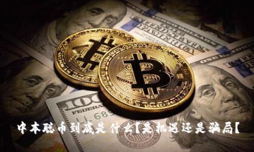 中本聪币到底是什么？是机遇还是骗局？