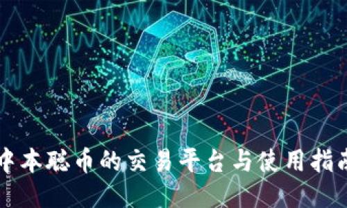 中本聪币的交易平台与使用指南