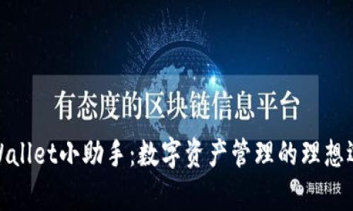 tpWallet小助手：数字资产管理的理想选择