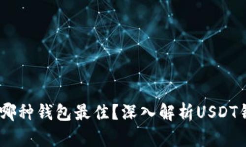 USDT一般用哪种钱包最佳？深入解析USDT钱包选择技巧