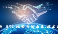 深入解析虚拟币 BTC：比特币的由来、技术原理及