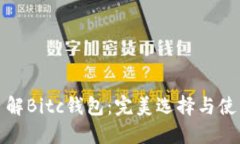 全面了解Bitc钱包：完美选择与使用技巧