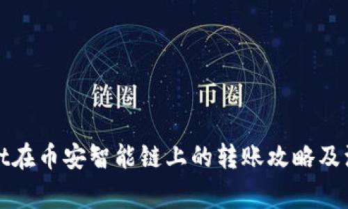 tpWallet在币安智能链上的转账攻略及注意事项