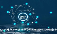 tpWallet中的BSC是什么？深入解析BSC的概念与应用