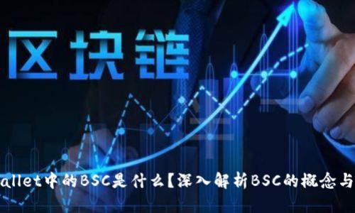 tpWallet中的BSC是什么？深入解析BSC的概念与应用