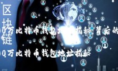 中本聪的100万比特币钱包地址揭秘：背后的故事