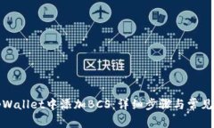 如何在tpWallet中添加BCS：详细步骤与常见问题解答