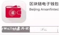 如何应对tpWallet意外被删除：全面指南与解决方案