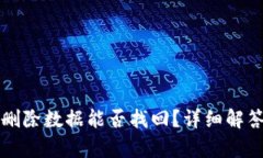 tpWallet已删除数据能否找回？详细解答与解决方案