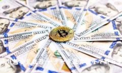 Pi币钱包安装教程：一步一步教你安全下载与使用