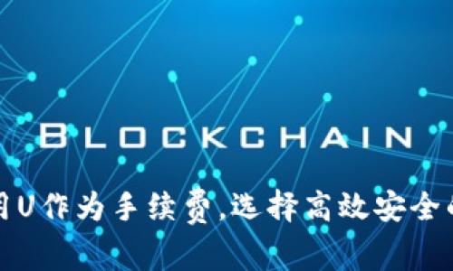 如何使用U作为手续费，选择高效安全的冷钱包