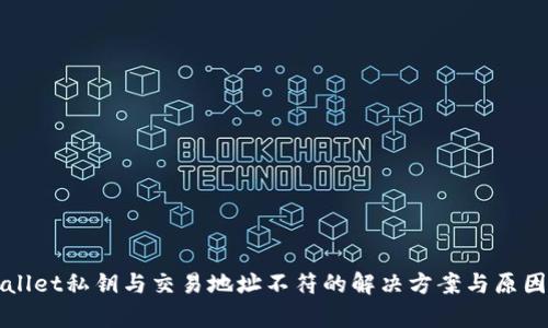 tpWallet私钥与交易地址不符的解决方案与原因解析