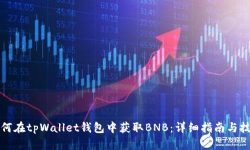 如何在tpWallet钱包中获取BNB：详细指南与技巧