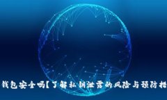 冷钱包安全吗？了解私钥泄露的风险与预防措施