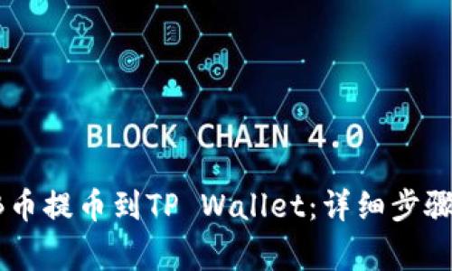 如何将SHIB币提币到TP Wallet：详细步骤及注意事项