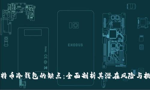 比特币冷钱包的缺点：全面剖析其潜在风险与挑战