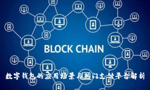 数字钱包的应用场景与热门支付平台解析
