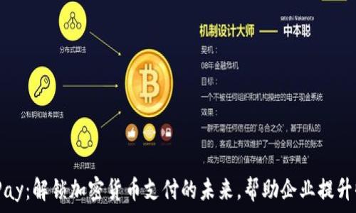   
BitPay：解锁加密货币支付的未来，帮助企业提升收入