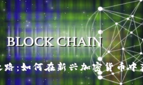 Pi币的成功之路：如何在新兴加密货币中获取丰厚回报