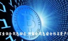 如何查询冷钱包动态：理解冷钱包安全性与资产