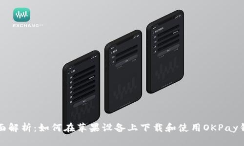 全面解析：如何在苹果设备上下载和使用OKPay钱包