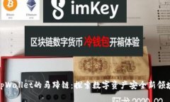 tpWallet的马蹄链：探索数字资产安全新领域