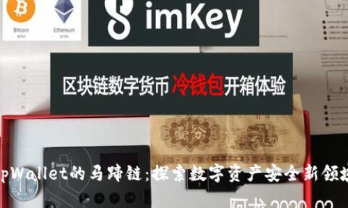 tpWallet的马蹄链：探索数字资产安全新领域