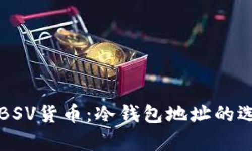 如何安全存储BSV货币：冷钱包地址的选择与使用指南
