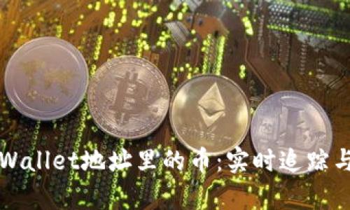 如何有效监控tpWallet地址里的币：实时追踪与管理的终极指南