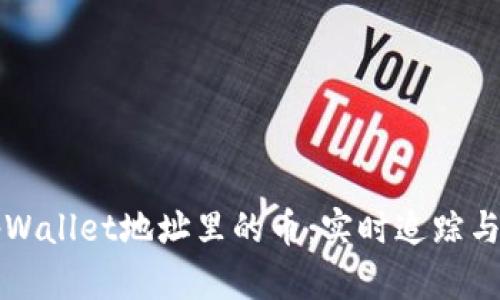 如何有效监控tpWallet地址里的币：实时追踪与管理的终极指南