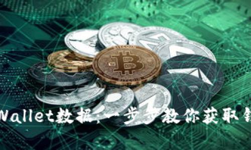 如何查看波场公链tpWallet数据：一步步教你获取钱包资产与区块链信息