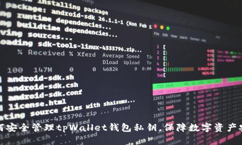 如何安全管理tpWallet钱包私钥，保障数字资产安全