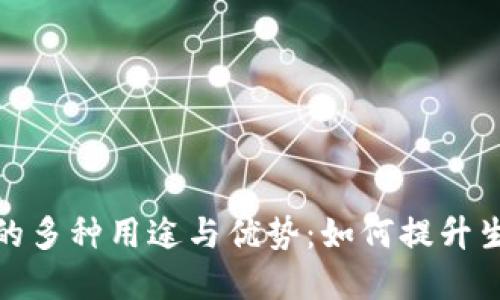 数字钱包的多种用途与优势：如何提升生活便利性