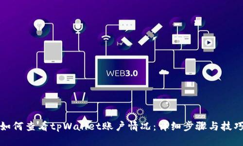如何查看tpWallet账户情况：详细步骤与技巧