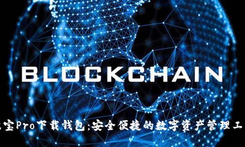 波宝Pro下载钱包：安全便捷的数字资产管理工具