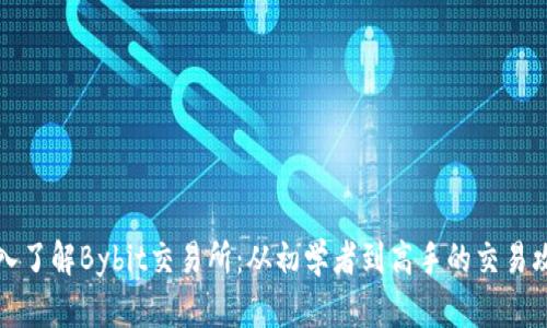 深入了解Bybit交易所：从初学者到高手的交易攻略