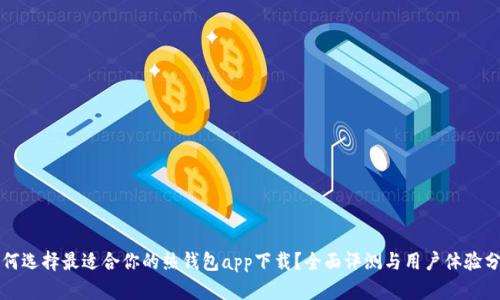 如何选择最适合你的热钱包app下载？全面评测与用户体验分析