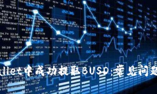 如何在tpWallet中成功提取BUSD：常见问题及解决方案