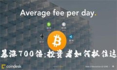 狗狗币一夜暴涨700倍：投资者如何抓住这一历史