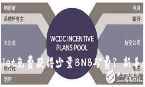 如何通过tpWallet免费获得少量BNB矿费? 新手教程与技巧分享