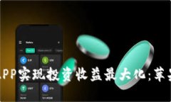 如何通过数字币APP实现投资收益最大化：苹果版
