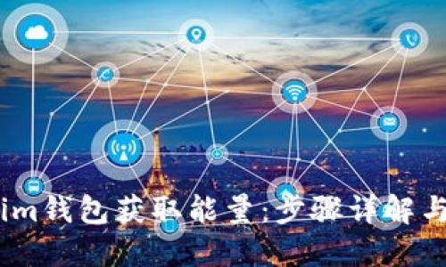 如何通过im钱包获取能量：步骤详解与技巧分享