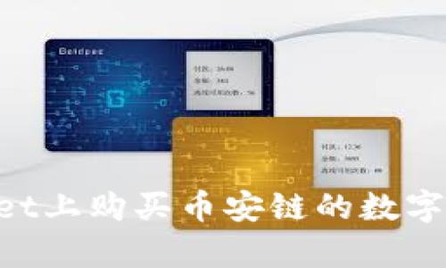 如何在tpWallet上购买币安链的数字货币：详细指南