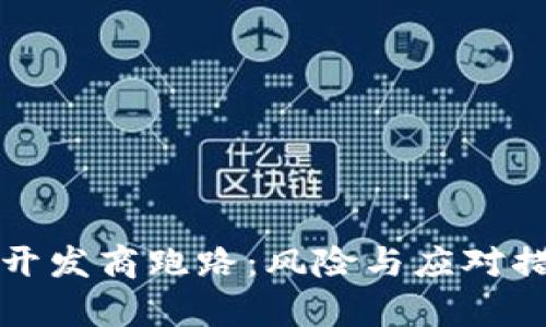 冷钱包开发商跑路：风险与应对措施解析