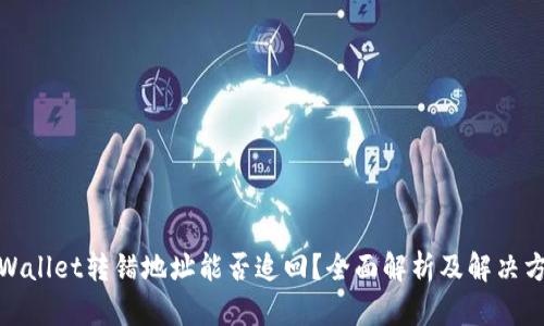 tpWallet转错地址能否追回？全面解析及解决方案