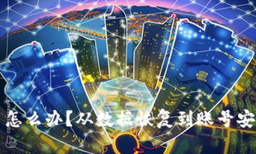 tpWallet被删除了怎么办？从数据恢复到账号安全的全面解决方案