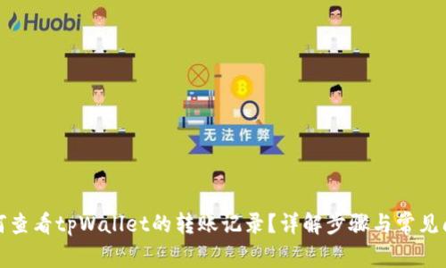 如何查看tpWallet的转账记录？详解步骤与常见问题
