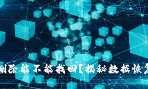 tpWallet删除能不能找回？揭秘数据恢复的可能性